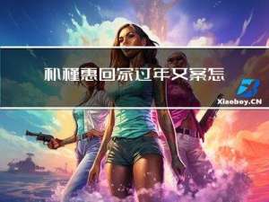朴槿惠回家过年文案怎么写