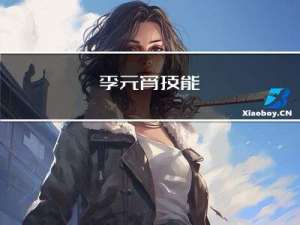 李元宵技能