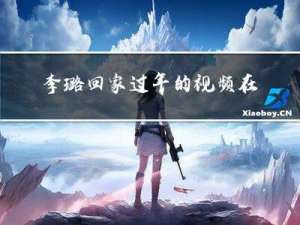 李璐回家过年的视频在哪看