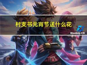 村支书元宵节送什么花