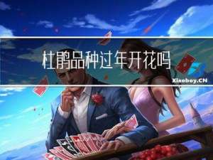 杜鹃品种过年开花吗