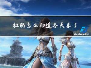 杜鹃怎么知道冬天来了