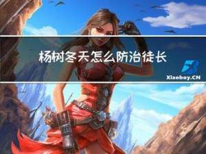 杨树冬天怎么防治徒长