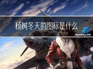 杨树冬天的图标是什么