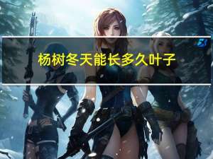 杨树冬天能长多久叶子