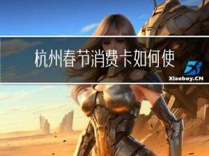 杭州春节消费卡如何使用