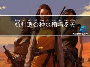杭州适合种水稻吗冬天
