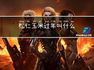 松仁玉米过年叫什么