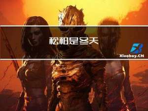 松柏是冬天