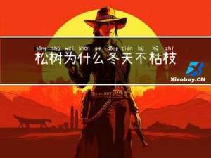 松树为什么冬天不枯枝