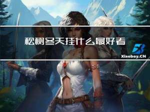 松树冬天挂什么最好看