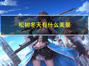 松树冬天有什么美景