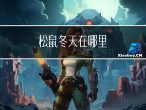 松鼠冬天在哪里