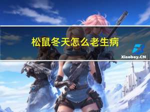 松鼠冬天怎么老生病