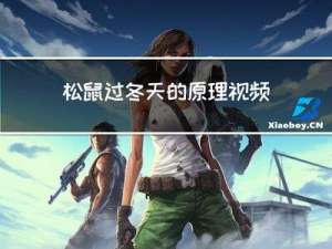 松鼠过冬天的原理视频