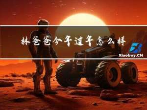 林爸爸今年过年怎么样