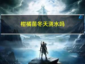 柑橘苗冬天浇水吗