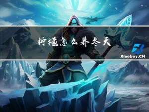 柠檬怎么养冬天