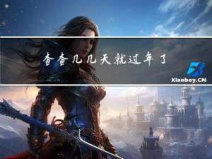查查几几天就过年了