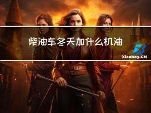 柴油车冬天加什么机油