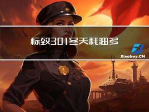 标致301冬天耗油多少