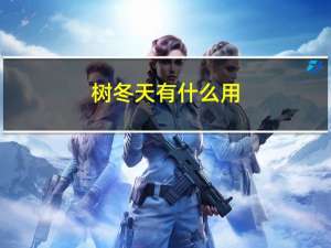 树冬天有什么用