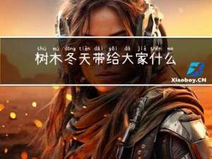 树木冬天带给大家什么