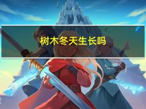 树木冬天生长吗