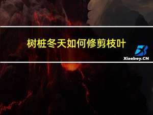 树桩冬天如何修剪枝叶