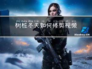 树桩冬天如何修剪视频