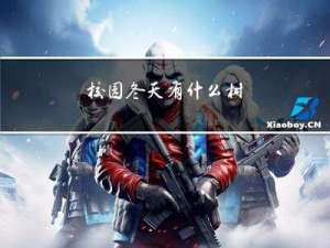 校园冬天有什么树
