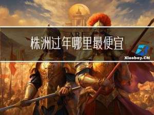 株洲过年哪里最便宜