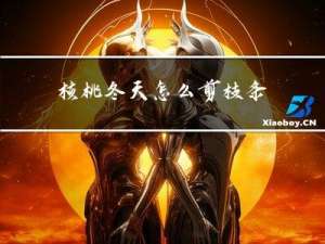 核桃冬天怎么剪枝条