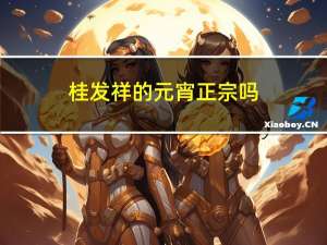 桂发祥的元宵正宗吗