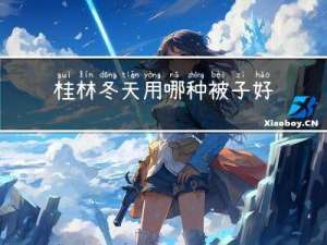 桂林冬天用哪种被子好