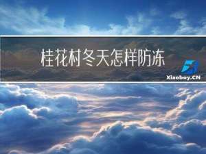 桂花村冬天怎样防冻
