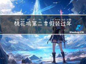 桃花坞第二季假装过年