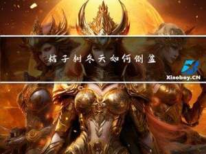 桔子树冬天如何倒盆