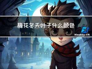 梅花冬天叶子什么颜色好看