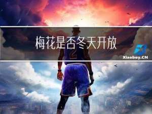 梅花是否冬天开放