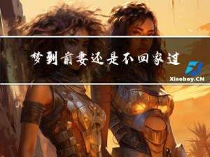 梦到前妻还是不回家过年