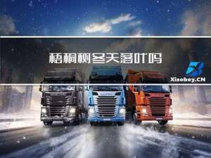 梧桐树冬天落叶吗