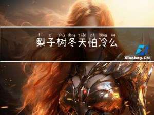梨子树冬天怕冷么