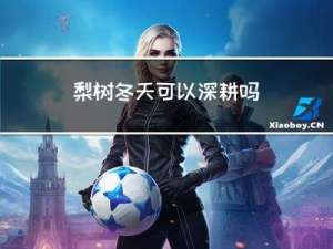 梨树冬天可以深耕吗
