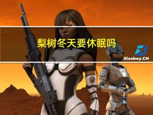 梨树冬天要休眠吗