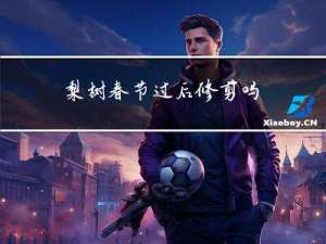 梨树春节过后修剪吗