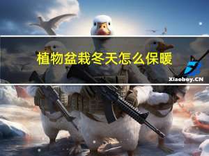 植物盆栽冬天怎么保暖