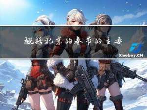概括北京的春节的主要意思