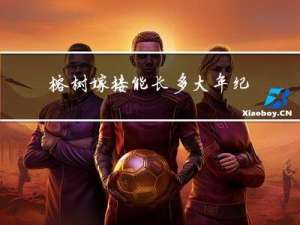 榕树嫁接能长多大年纪
