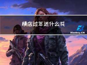 横店过年送什么花